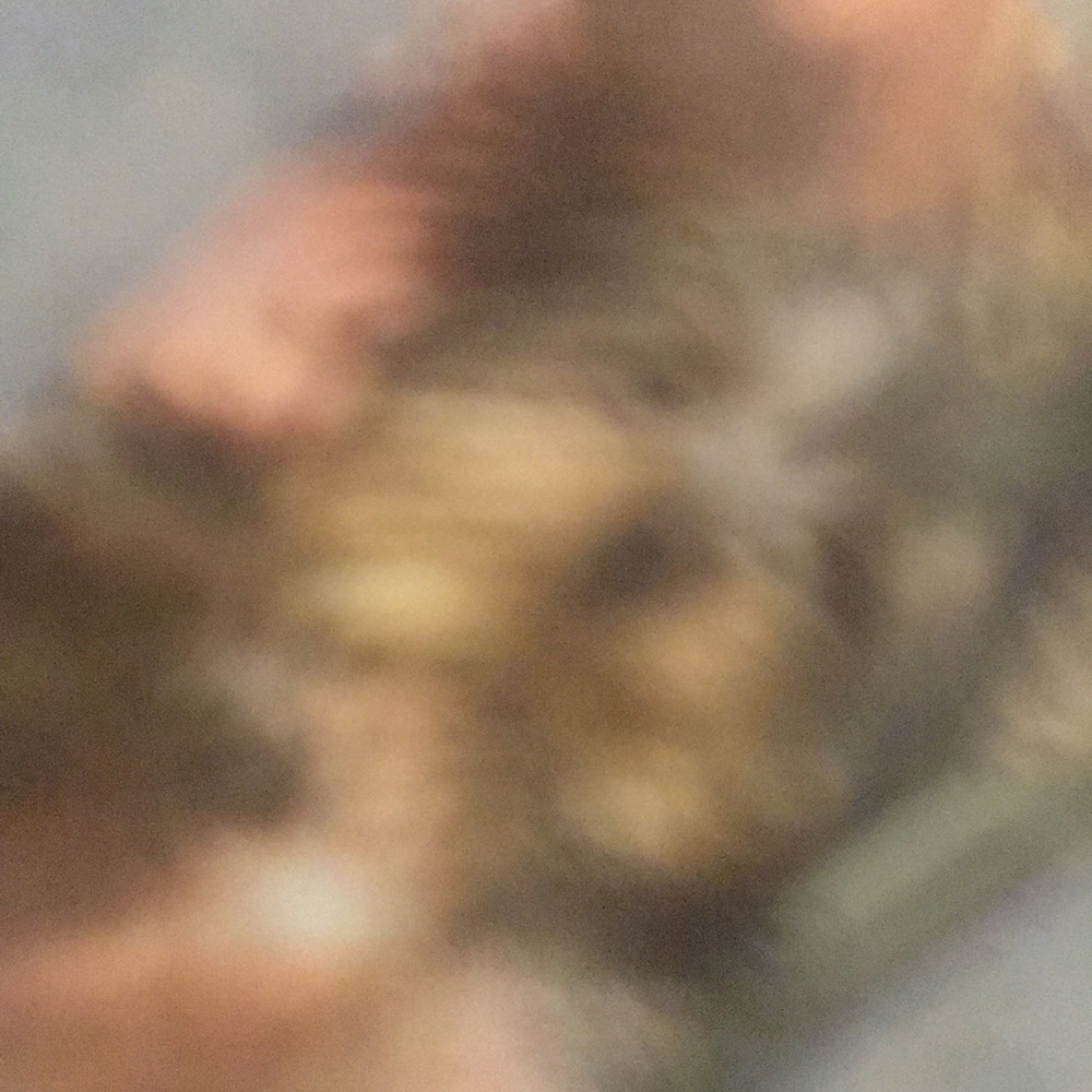 Meet your Posher, Johhny